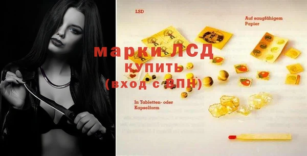 индика Армянск