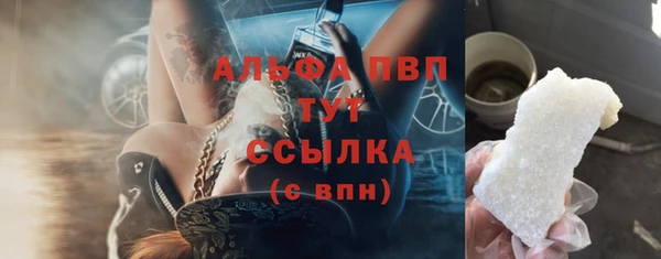 индика Армянск