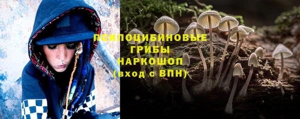 спайс Аркадак