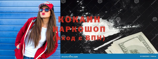 дживик Арсеньев