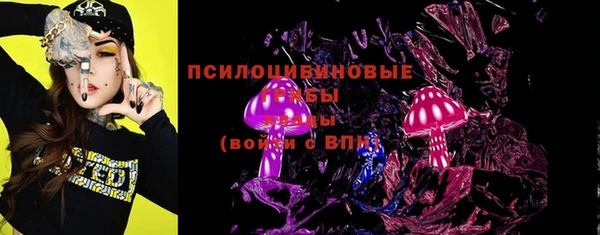 индика Армянск